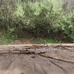 Meet your Posher, Samuel